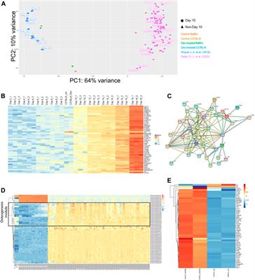 A Core Omnigenic Non-coding Trait Governing Dex-Induced Osteoporotic Effects Identified Without DEXA